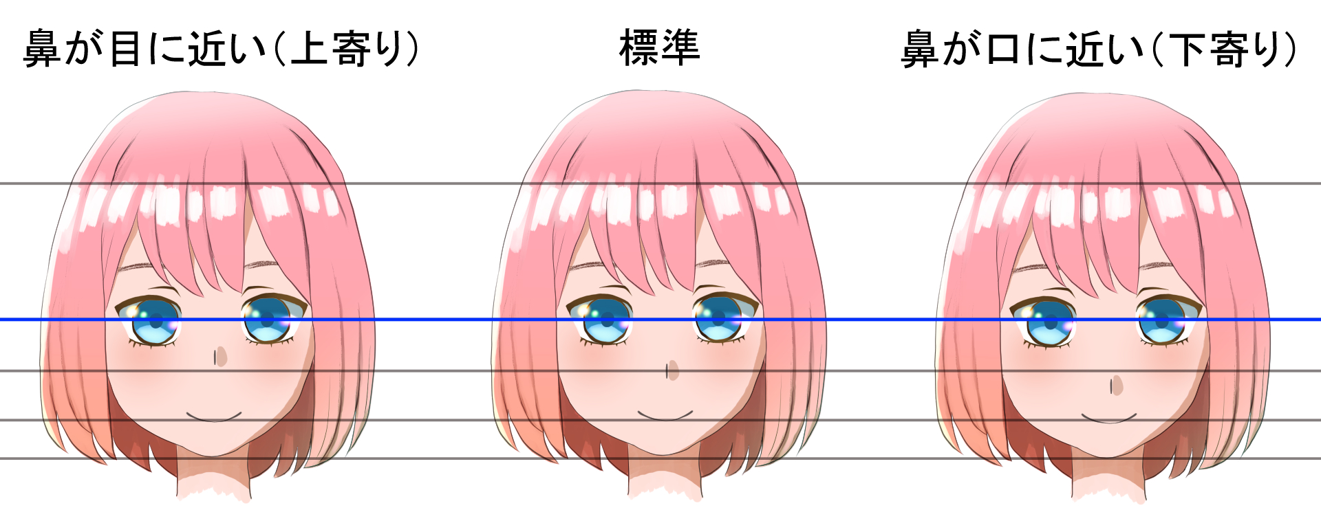 鼻の配置の比較図。鼻が上寄り。標準。鼻が下寄りの図。